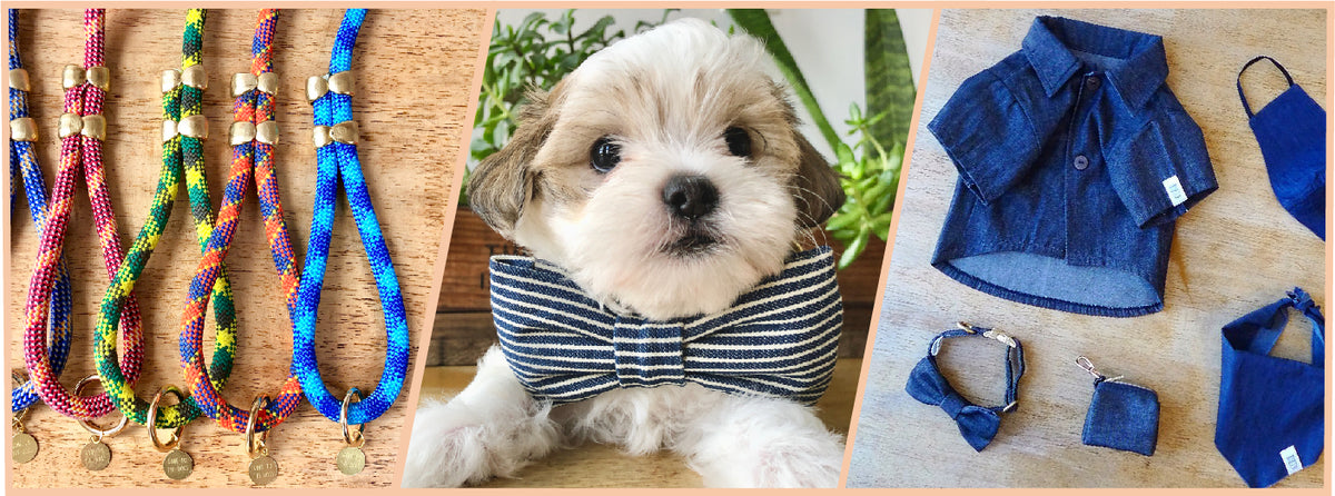 The Ultimate Pet Care Guide to Help You Get the Best Accessories For Y Gone to the Dogs NY