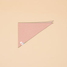 Load image into Gallery viewer, Bo Bandana - Peach Stripe
