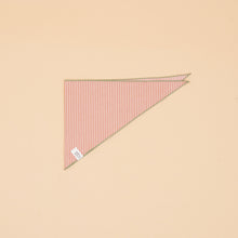 Load image into Gallery viewer, Bo Bandana - Peach Stripe