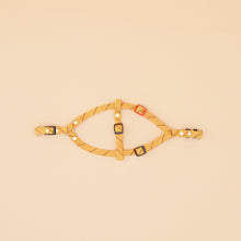 Load image into Gallery viewer, Marley Flat Rope Harness - Turbo Yellow
