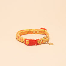 Load image into Gallery viewer, Luna Lightweight Collar - Turbo Yellow