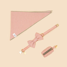 Load image into Gallery viewer, Bailey Bowtie Collar - Peach Stripe