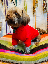 Load image into Gallery viewer, Wyatt Hoodie Sweatshirt - Red