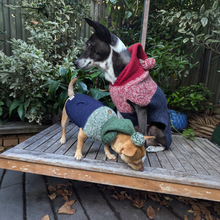 Load image into Gallery viewer, Colby Hoodie Sweater -  Marled Red