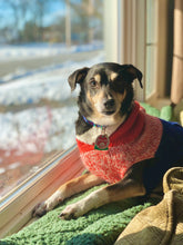 Load image into Gallery viewer, Colby Hoodie Sweater -  Marled Orange