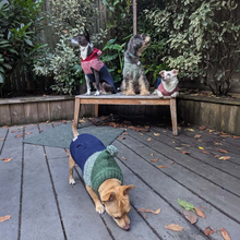 Load image into Gallery viewer, Colby Hoodie Sweater -  Marled Red