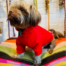 Load image into Gallery viewer, Wyatt Hoodie Sweatshirt - Red