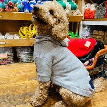 Load image into Gallery viewer, Wyatt Hoodie Sweatshirt - Grey Heather