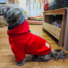 Load image into Gallery viewer, Wyatt Hoodie Sweatshirt - Red