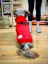 Load image into Gallery viewer, Wyatt Hoodie Sweatshirt - Red