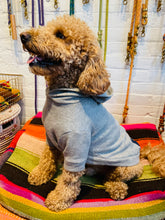 Load image into Gallery viewer, Wyatt Hoodie Sweatshirt - Grey Heather