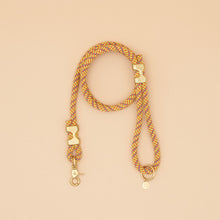 Load image into Gallery viewer, Fuji Rope Leash - Sun Daze Orange