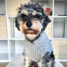 Load image into Gallery viewer, Champ Shawl Collar Sweater - Grey Heather