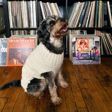 Load image into Gallery viewer, Miles in a Sweater