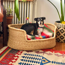 Load image into Gallery viewer, Sprawler Handwoven Dog Bed Basket - Navy Stripe (Store pick up only)