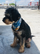 Load image into Gallery viewer, Blue Hawaii Bandana