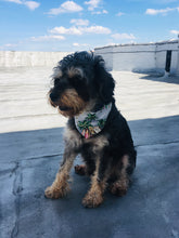 Load image into Gallery viewer, Waikiki Bandana