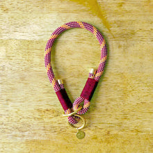 Load image into Gallery viewer, Red Rope Slip Collar for Dogs