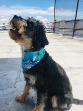 Load image into Gallery viewer, North Shore Bandana