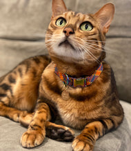 Load image into Gallery viewer, Saimin Flat Rope Collar - Orange
