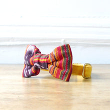 Load image into Gallery viewer, Red Ikat Dog Bowtie and Collar