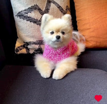 Load and play video in Gallery viewer, Major Shawl Collar Sweater - Marled Hot Pink