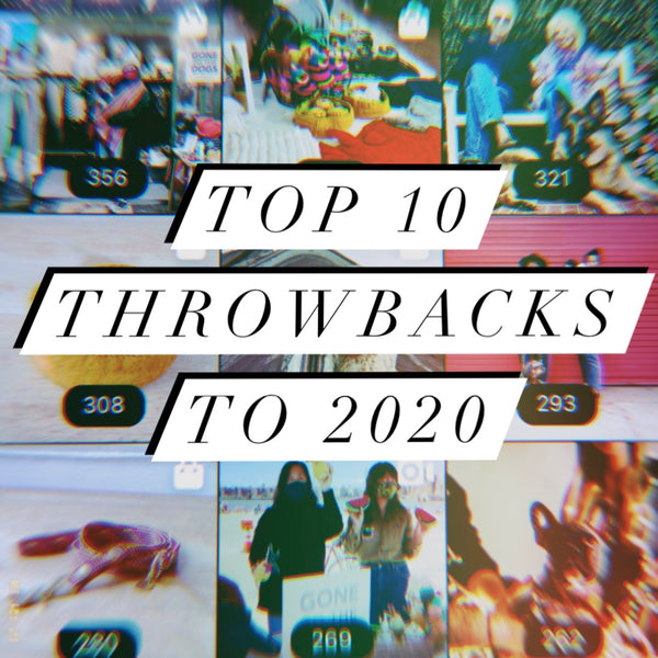 Gone to the Dogs Top 10 Throwback Moments of 2020