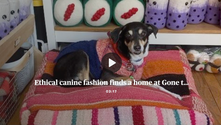 Ethical canine fashion finds a home at Gone to the Dogs in Park Slope