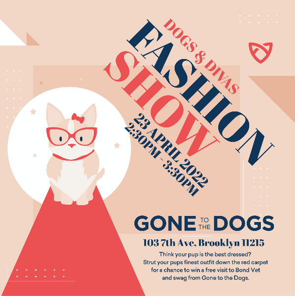 Dogs and Divas Spring Fashion Show