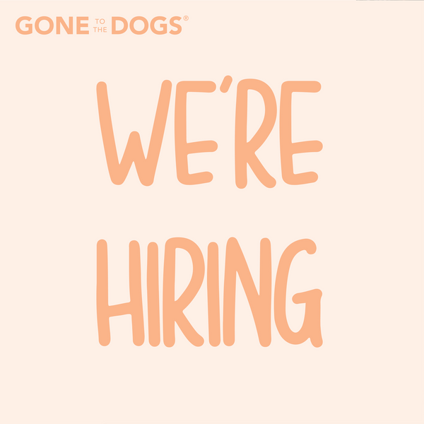We're hiring for Winter 2025!