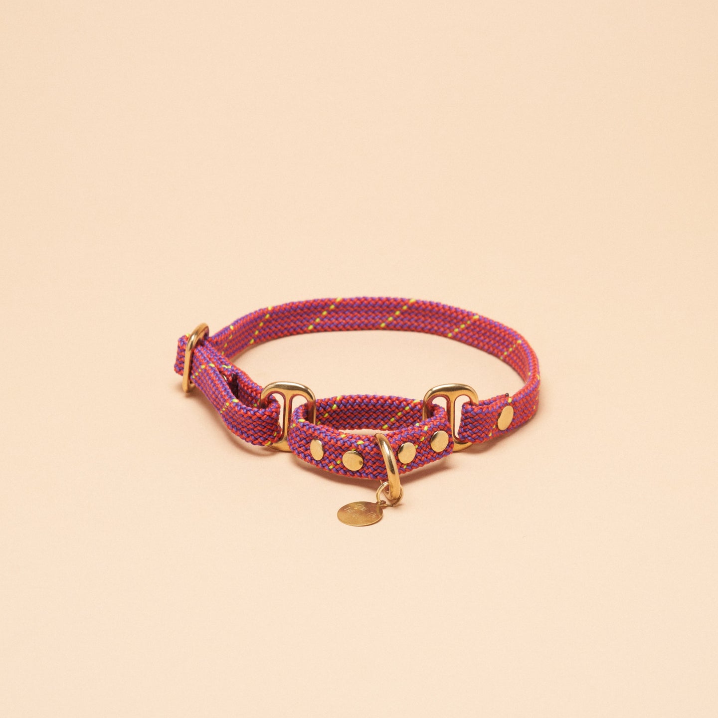 Remy Martingale Collar - Pink
