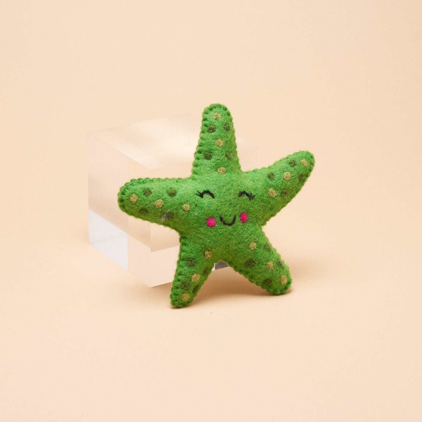 Starfish Squeaker Toy