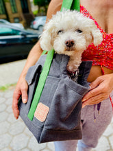 Load image into Gallery viewer, Mini poodle is size Medium grey carrier
