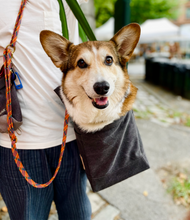 Load image into Gallery viewer, Corgi in size large grey carrier
