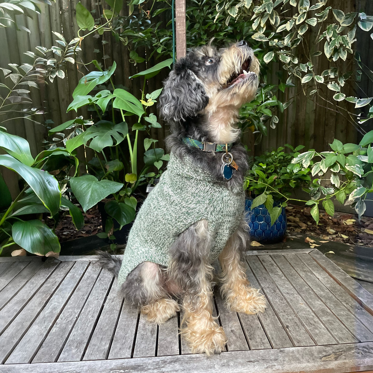 Major Shawl Collar Sweater - Marled Forest Green