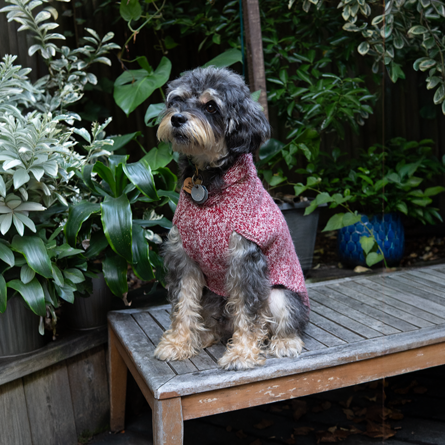 Major Shawl Collar Sweater - Marled Red