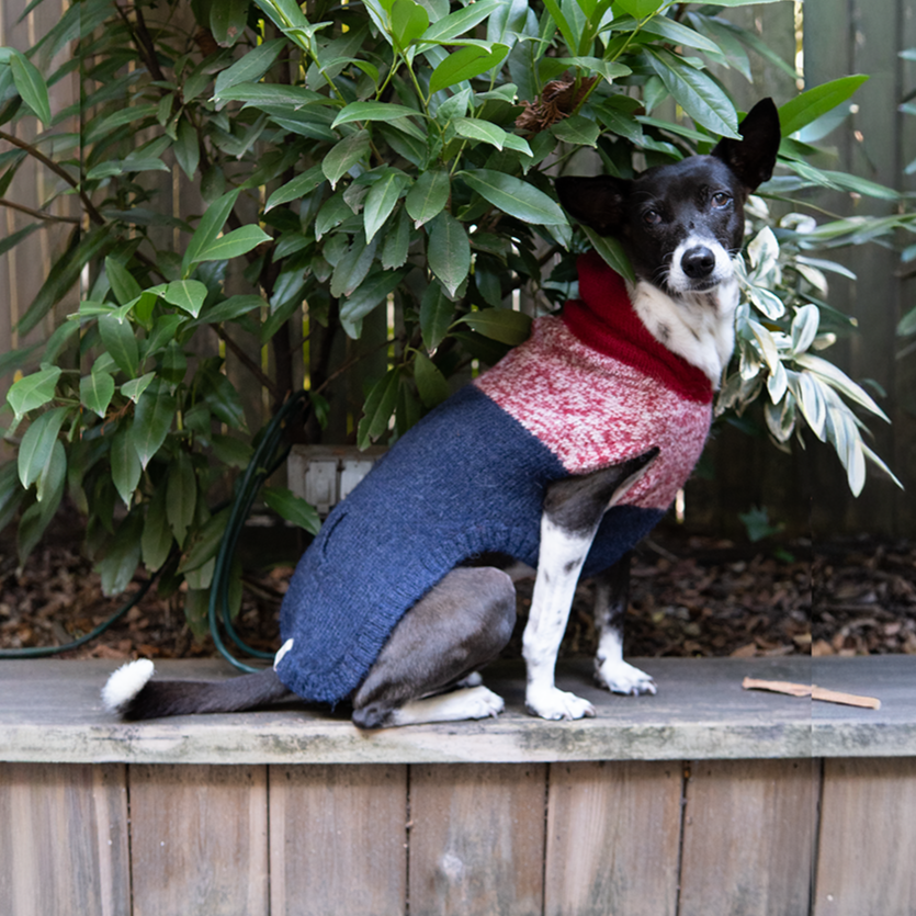 Colby Hoodie Sweater -  Marled Red