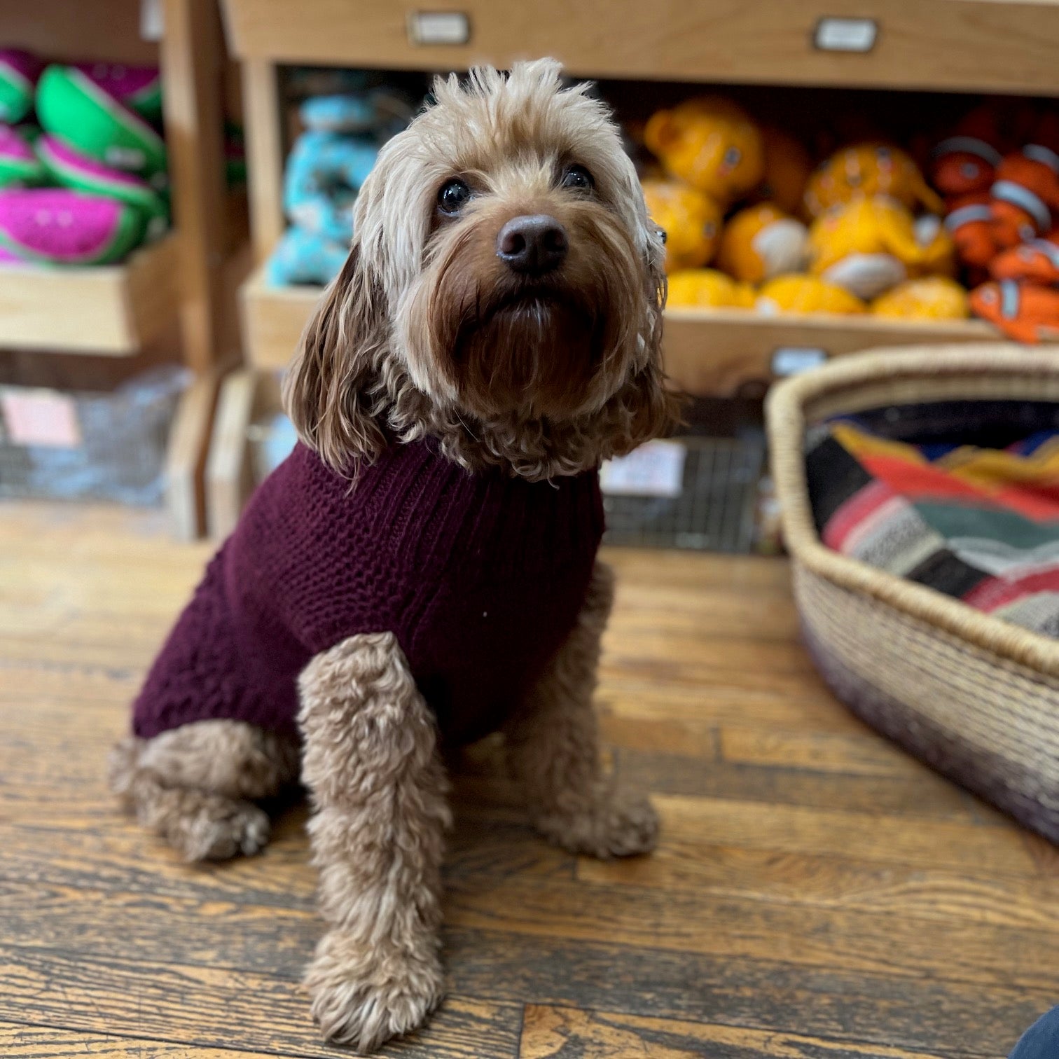 burgundy dog dress Ollie Turtleneck Sweater