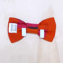 Load image into Gallery viewer, Chucho Bowtie - Redwood
