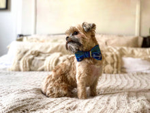 Load image into Gallery viewer, Little dog wearing blue ikat bowtie
