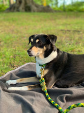 Load image into Gallery viewer, Saimin Flat Rope Collar - Green
